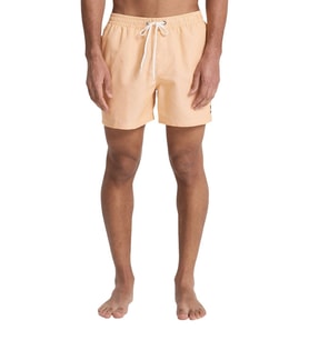 Quiksilver Deluxe 15 Erkek Deniz Şortu