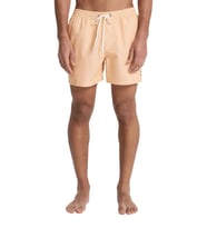 Quiksilver Deluxe 15 Erkek Deniz Şortu