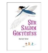 Şiir Saldım Gökyüzüne