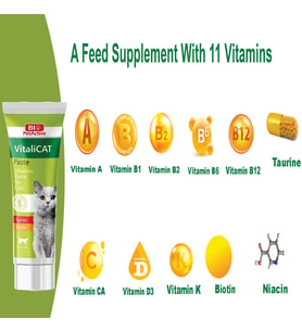 Vitalicat Kediler İçin Vitamin, Macun (Paste), 100 ml
