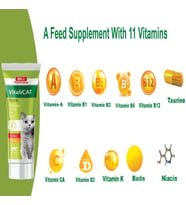 Vitalicat Kediler İçin Vitamin, Macun (Paste), 100 ml