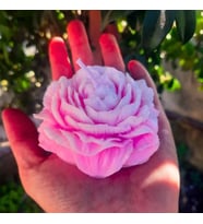 ŞAKAYIK SOYA MUMU PEMBE