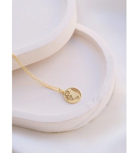 Kişiye Özel Şık Dünya Kolye 925K Gümüş (Gold)