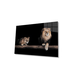 Aslan Cam Tablo 4mm Dayanıklı Temperli Cam (Çok Renkli)
