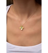 925 Ayar Gümüş Gold Kaplama Mart Ayı Doğum Taşlı Matthiola Çiçeği Kolye