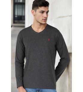 T8587 DEWBERRY V YAKA ERKEK UZUN KOL T-SHIRT-ANTRASİT-1