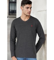 T8587 DEWBERRY V YAKA ERKEK UZUN KOL T-SHIRT-ANTRASİT-1