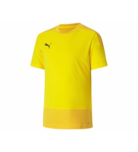 Puma Teamgoal 23 Training Jersey Erkek Futbol Formasi 65648207 Sarı
