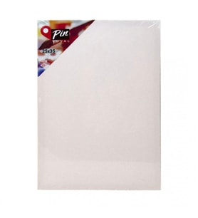 PİN TUVAL 25 X 35 CM ARKADAN ZIMBALI