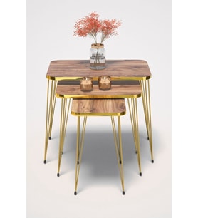 Zigon Sehpa Kr Gold Ceviz Tel