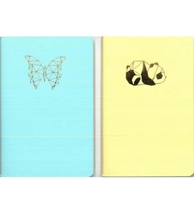 DRN GIFT ST-0622N 9x14 IVORY PASTEL KARTON KAPAK 40 YP. NOKTALI DEFTER - TEKLİ
