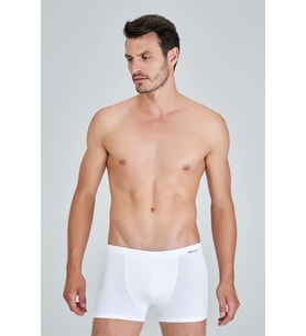 Mulvxicgy Mdyk02 Kom Davide Boxer (Mulvix)