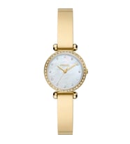 FOSSIL FBQ3895