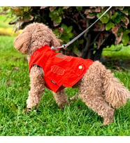 Orange Renk Kot Köpek Yeleği - Küçük Irklar İçin Şık ve Rahat Yelek (0-15kg) (Turuncu)