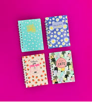 Mini 4'lü Renkli Desenli Spiralli Defter