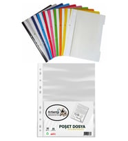 10 Renk Telli Dosya ve 50 Adet Poşet Dosya 1 Paket 10 lu Telli Dosya Poşet Dosya Okul Büro Ofis (Çok Renkli)