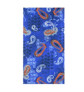 Kobalt Bandana