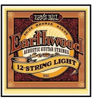 Ernie Ball P02010 (12 Telli) Akustik Gitar Teli