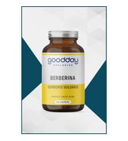 GOODDAY Berberina 60 Kapsül