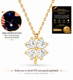 Premium Işıklı Kutuda 925 Ayar Gümüş Altın Kaplama Yonca Kadın Kolye