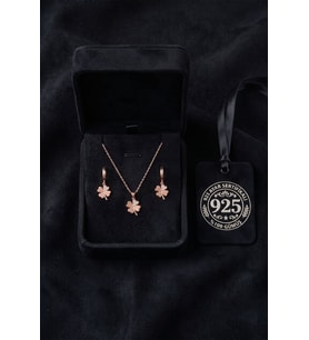 925 Ayar Gümüş Zirkon Taşlı Rose Renk Kalp Motifli Dört Yapraklı Yonca Kolye Küpe 2'li Takı Seti