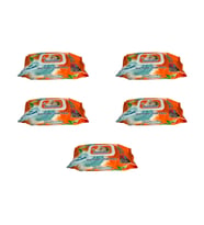 Freshmaker Islak Havlu Mendil - Alkolsüz - pH Dengelenmiş - Çiçeksi Kokular - 90 Adetlik 5 Paket