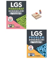LGS 8. SINIF PARAGRAF VE PROBLEM DENEMELERİ