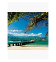 Hanalei Körfezi Iskelesi, Kauai Tablo Ahşap Poster Dekoratif