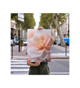Çerçevesiz Poster, Dijital Baskı, Pembe Çiçek, Klasik ,Modern , Soyut , Minimalist Poster