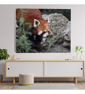 Panda Temalı Dekoratif Kanvas Tablo