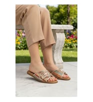 Pierre Cardin PC-54776 Z Multi Kadın Terlik