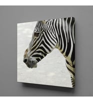 ZEBRA KAFASI KANVAS TABLO 200x200cm