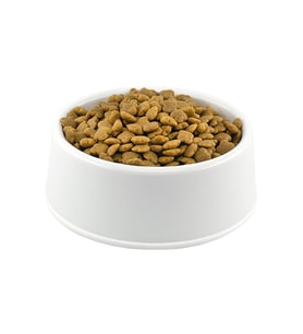 Mito Cat Tavuk Etli Açık Yetişkin Kedi Maması 1 kg