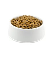 Mito Cat Tavuk Etli Açık Yetişkin Kedi Maması 1 kg (Kahverengi)