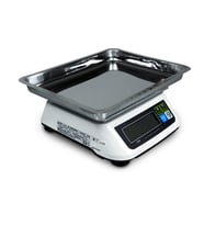 CAS SW-II Dijital Hassas Terazi - 1 Gr Hassasiyet, 30 kg Kapasite, Paslanmaz Çelik Kefeli