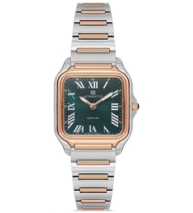 Momentus CS348T-15SR