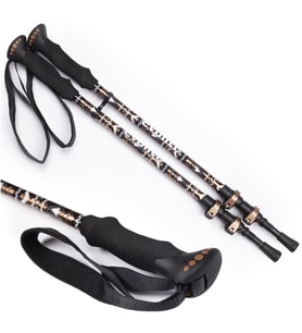 Evolite Golden Trekking Quick-Lock Dıştan Kilitli Trekking Batonu