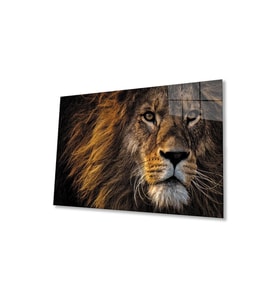 Aslan Cam Tablo