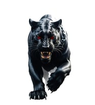 Vahşi Kara Panter Sticker Araba, Motorsiklet, AraçEtiket Cam Sticker 19CM