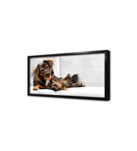 Köpek ve Kedi Çerçeveli Cam Tablo