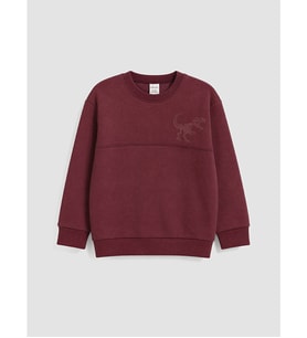 LCW Kids Bordo Baskılı Erkek Çocuk Kalın Sweatshirt
