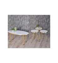 Zigon Sehpa Ve Orta Sehpa Elips Set  Altın Metal Ayak Altın Beyaz
