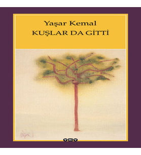 Kuşlar da Gitti