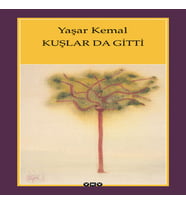 Kuşlar da Gitti