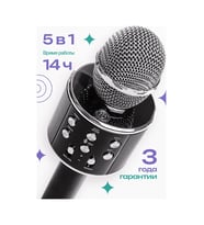 Kablosuz Karaoke Mikrofonu