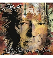 Willie Nelson Last Leaf On The Tree - Plak