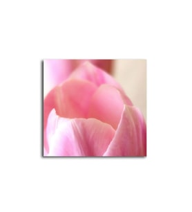 Pembe Lale Tablo 50 X 70 Cm