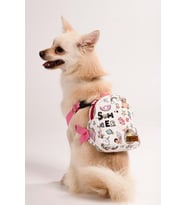 Köpek Sırt Çantası – Tatil Model