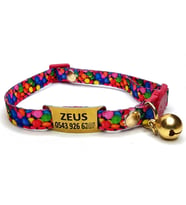 Güvenlik kilitli ( safety click ) Kedi tasması, kedi künyesi, kedi isimlik, sallanmayan kedi künyesi, isimli kedi tasması (Kırmızı)