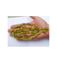 Limon Yeşim-Lemon Jade Kırıktaş Dizi-80 cm